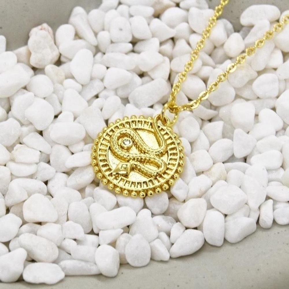 Boho Snake Coin Necklace - Picture 2 of 4